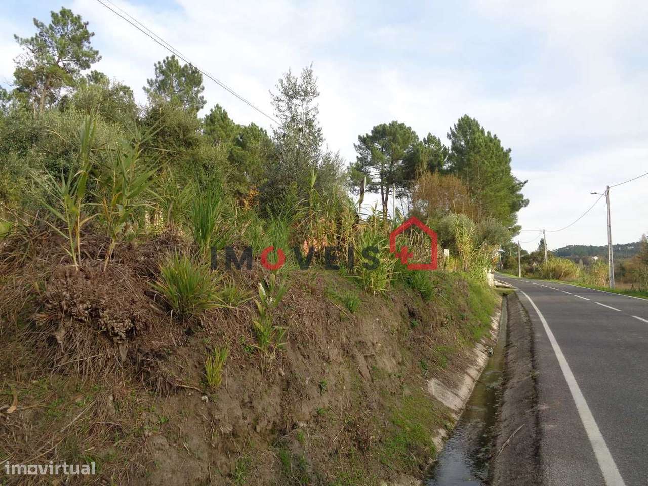 Terreno para Construção - Grande imagem: 5/5