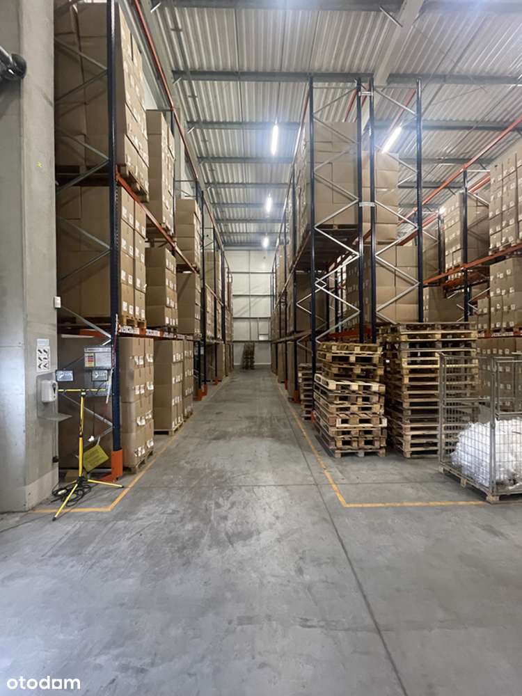 Hala produkcyjno-magazynowa - Janowiec Wielkopolski - Pełny obrazek: 4/8