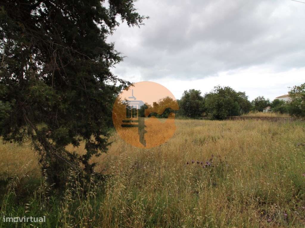 Terreno com 23332 m2 com viabilidade de construção de 61 apartament... - Grande imagem: 4/15