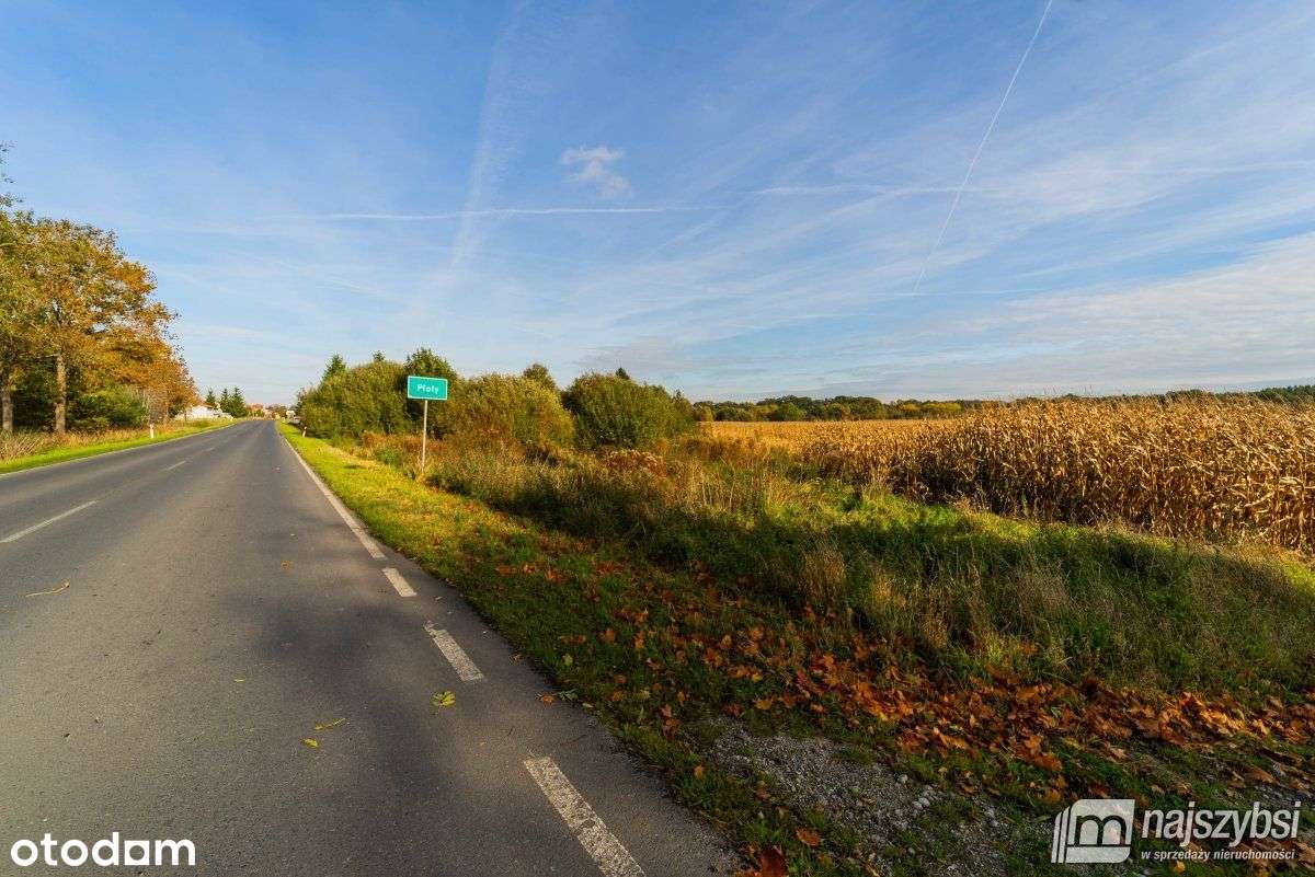 Płoty-działka z wydanymi warunkami zabudowy - Pełny obrazek: 5/20