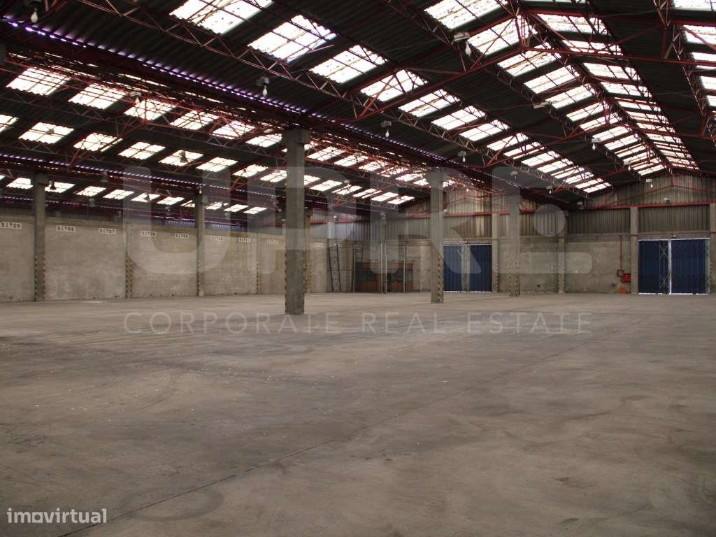 Armazém Logístico 1.075m2 | ARRENDA | Matosinhos - Grande imagem: 2/12