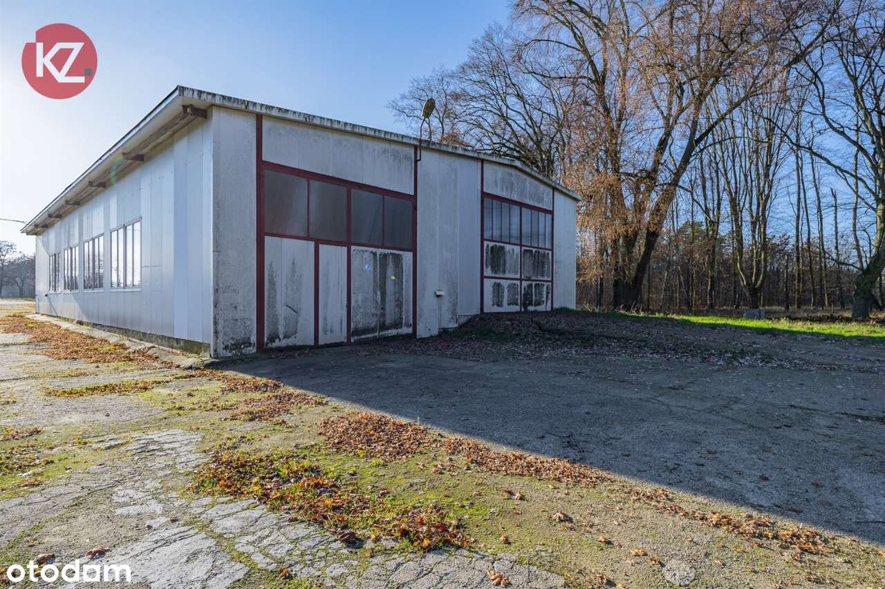 Obiekt na sprzedaż, Margonin (gw)-16