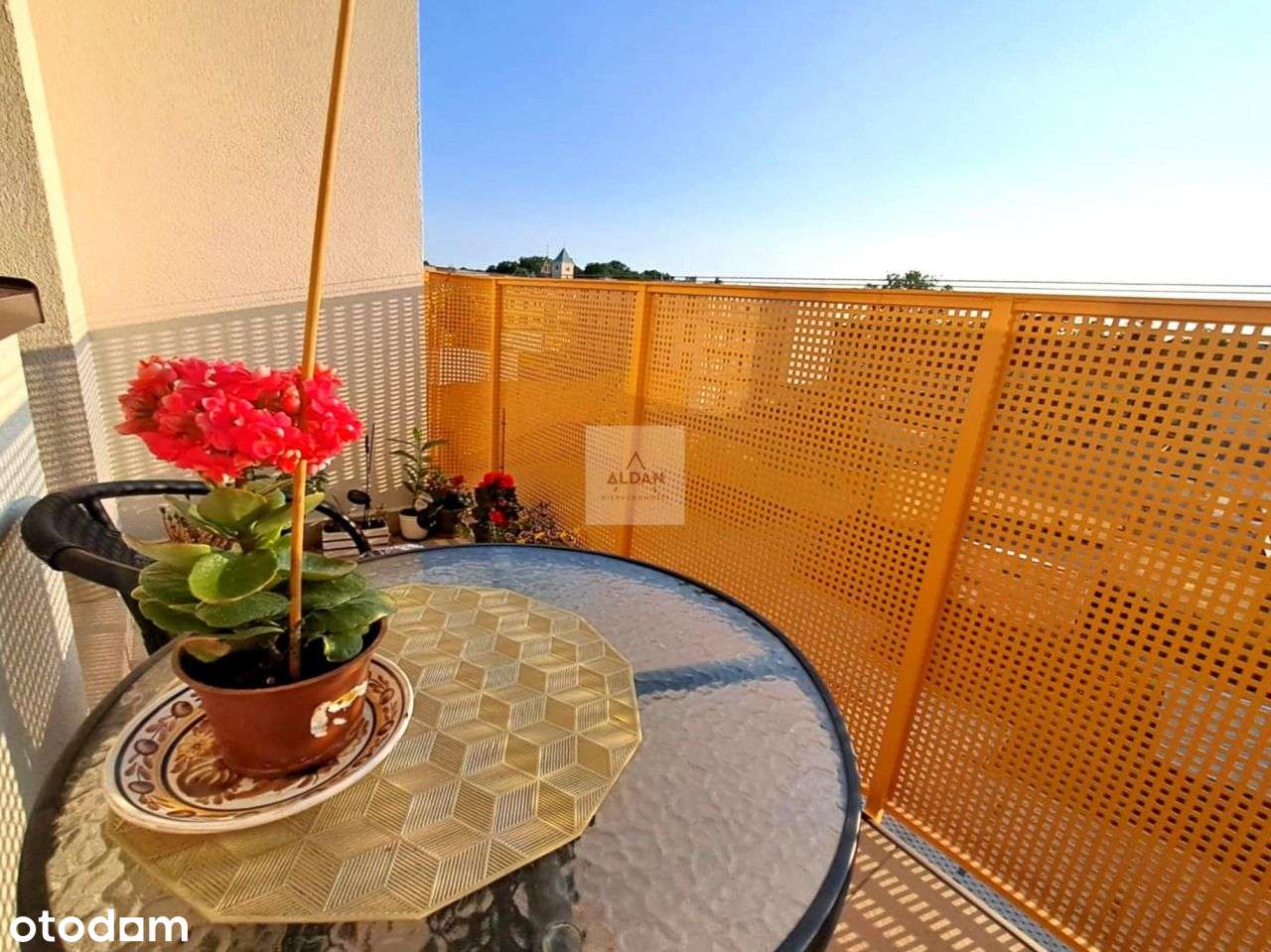 3 pok. mieszk. na sprzedaż w Nowogrodzie Bobrzańsk - Pełny obrazek: 5/20