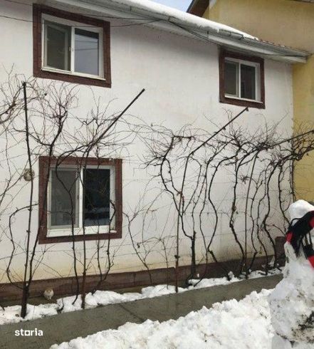 Casă / Vilă cu 1 camere de vânzare, Racaciuni-3