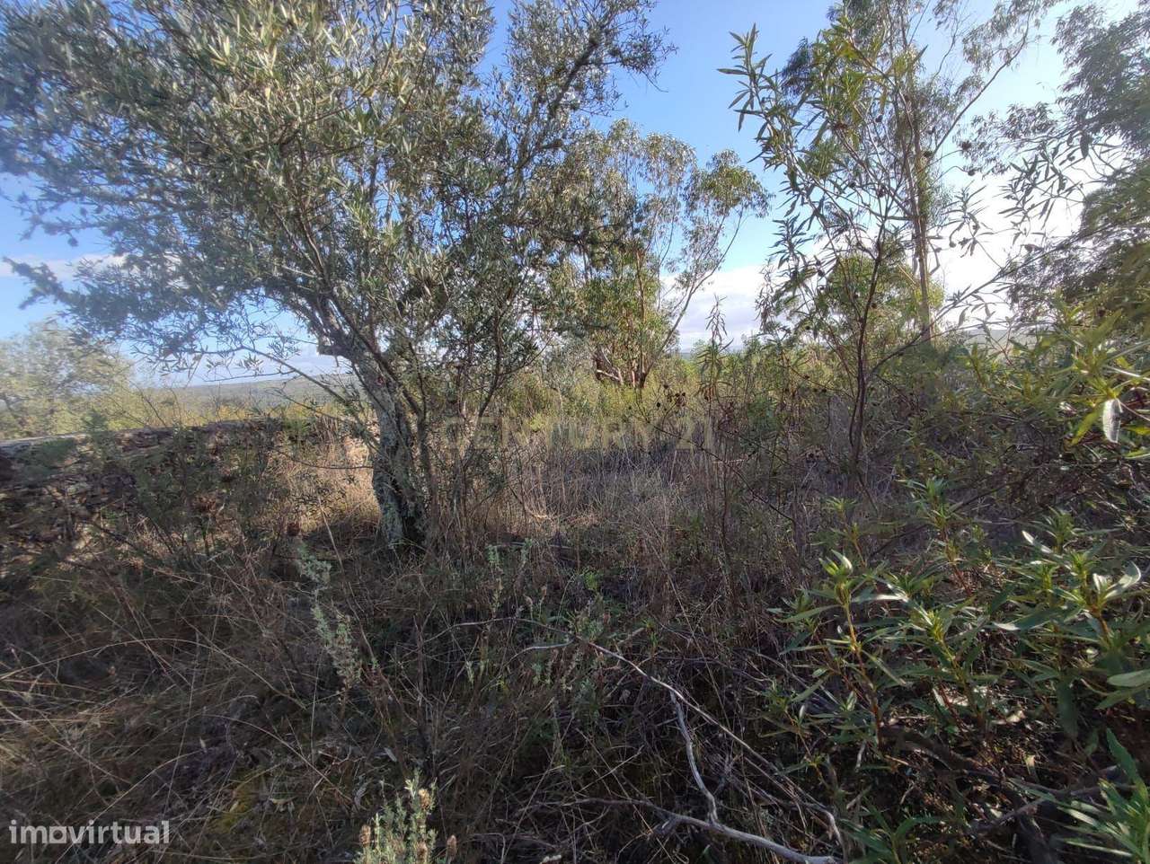 Terreno Rustico com 13520M2 - Grande imagem: 4/9