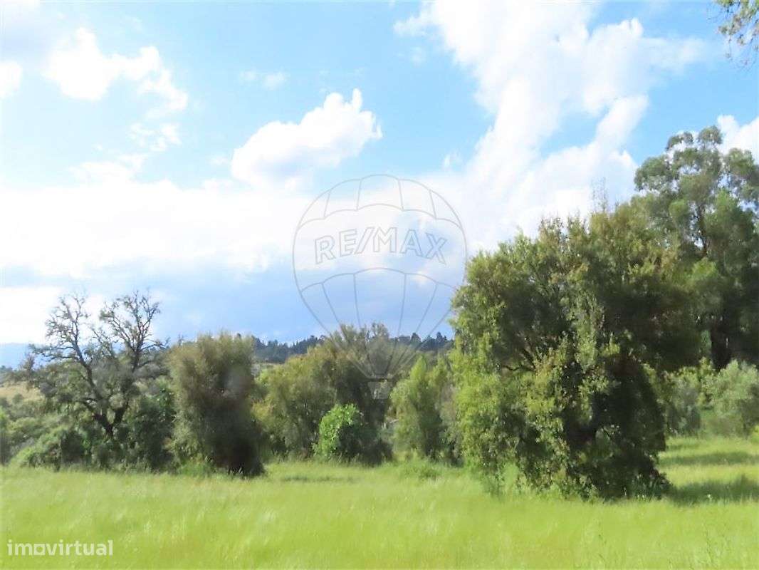 Quinta  para venda - Grande imagem: 5/28