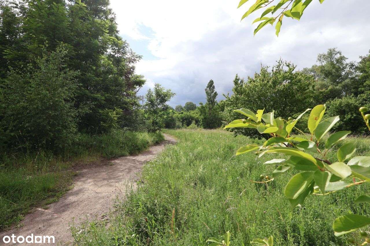 Atrakcyjna cenowo nieruchomość pod inwestycje-5