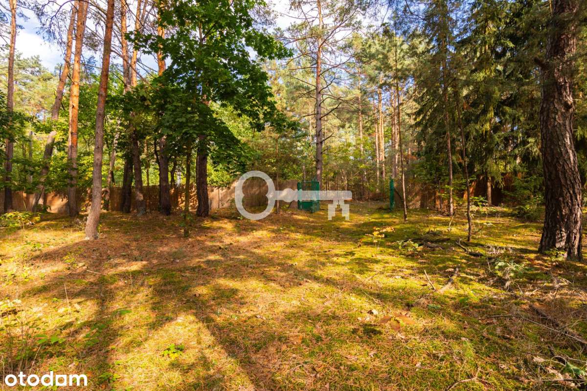 Second home lub Slowhop |Starodrzew|1h od Warszawy - Pełny obrazek: 4/20