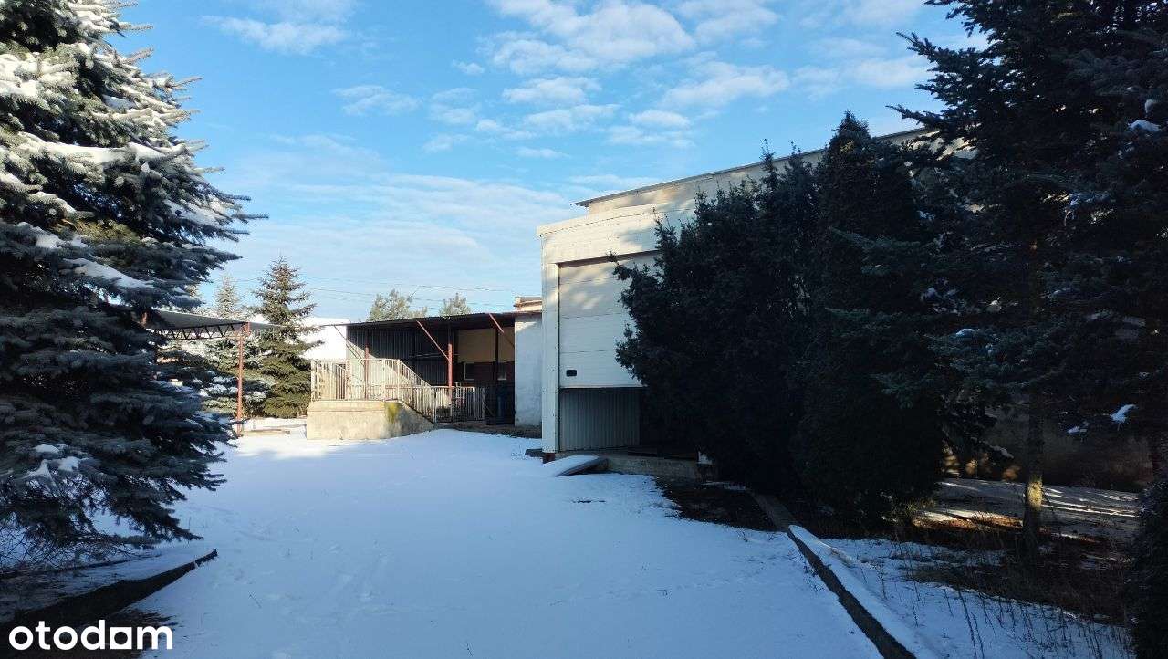 Masarnia Podrzewie w pełni wyposażona!!! - Pełny obrazek: 4/20