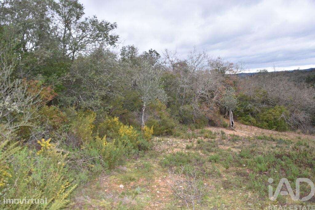 Terreno em Chãos de 8880,00 m2 - Grande imagem: 4/22