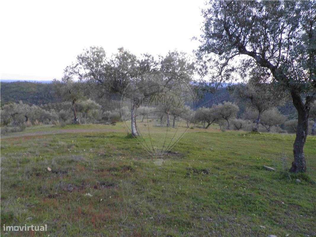 Quinta T0 para venda - Grande imagem: 4/20