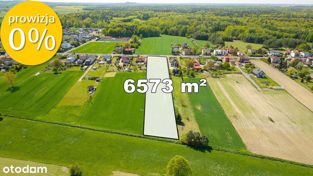 Atrakcyjna działka w zielonych Ornontowicach - Pełny obrazek: 4/10