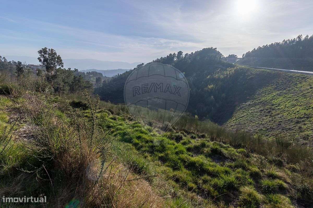 Quinta  para venda-1