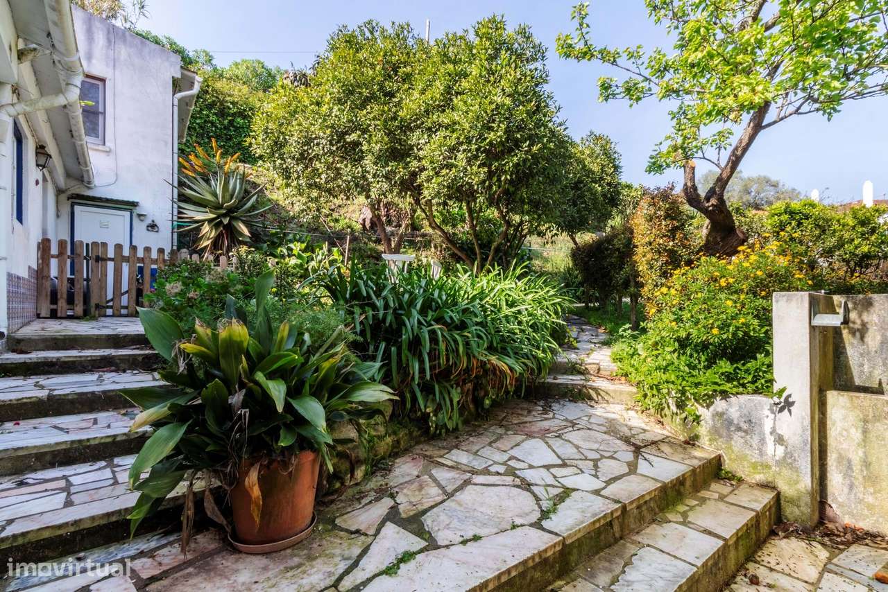 Moradia T6 c/ Terreno de 1600m2 c/ Piscina, Garagem e Anexos em Colare-14