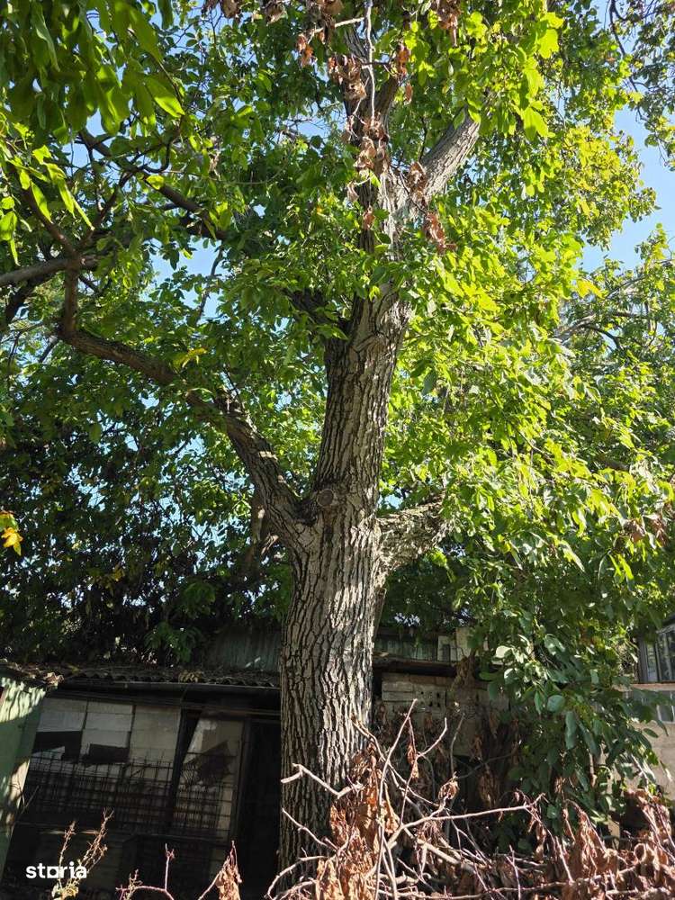 Teren construibil pentru vila sau proiect de tip rezidential - Imagine principală: 4/8