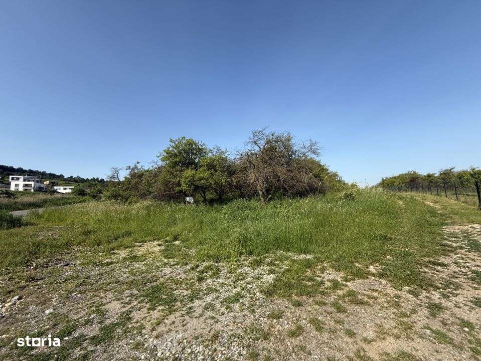 INVESTITIE! Teren extravilan - 1050 mp - zona Wonderland , Cluj! - Imagine principală: 2/5