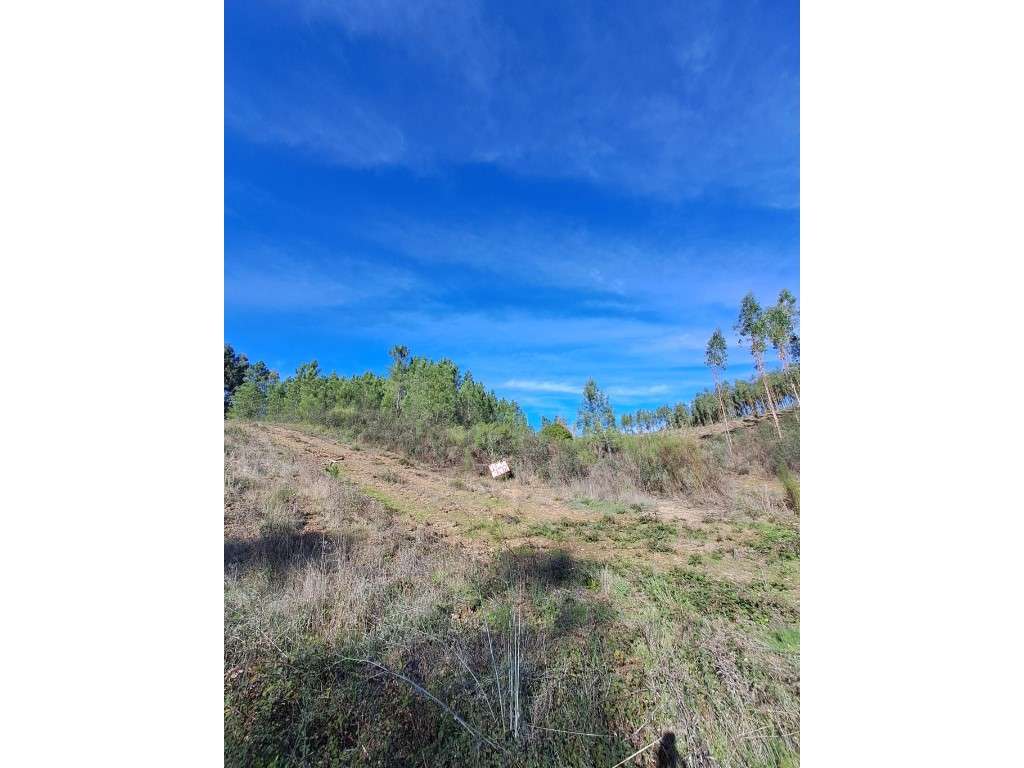 Junto à Barragem do Vergancinho - Estrada Municipal 536. Junto à es... - Grande imagem: 4/8