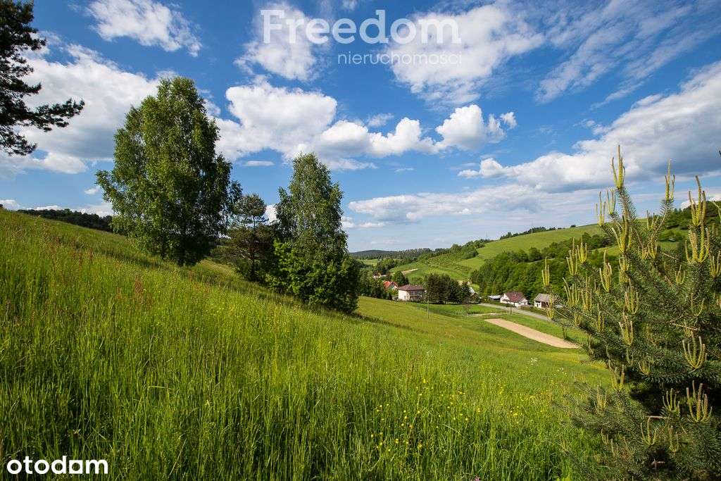 Działka z pięknymi widokami przy drodze - Pełny obrazek: 2/12