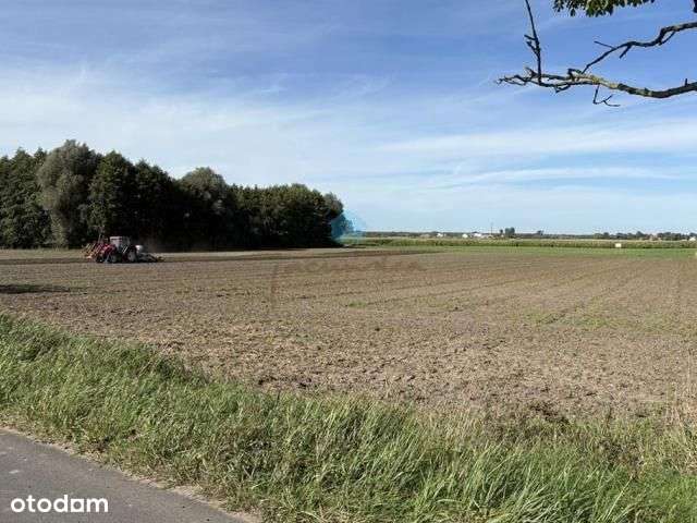 Grunt pod inwestycje Owieczki gm. Łubowo-11