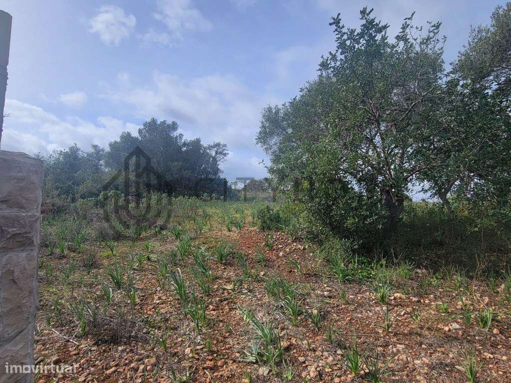 Terreno misto com projeto aprovado em Tunes - Grande imagem: 4/20