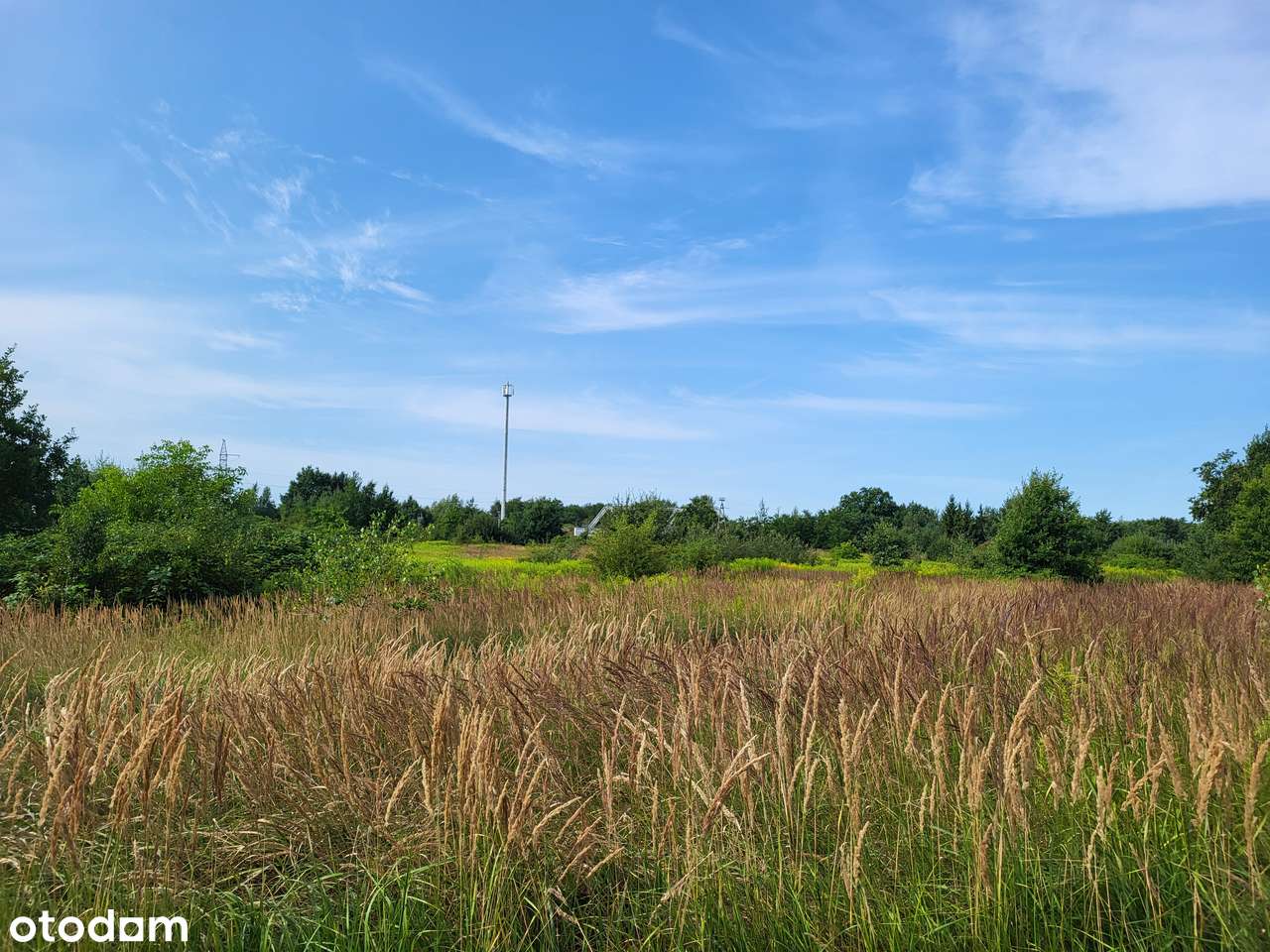 Działka  | Malczyce | Powierzchnia 3900 m2 - Pełny obrazek: 4/4