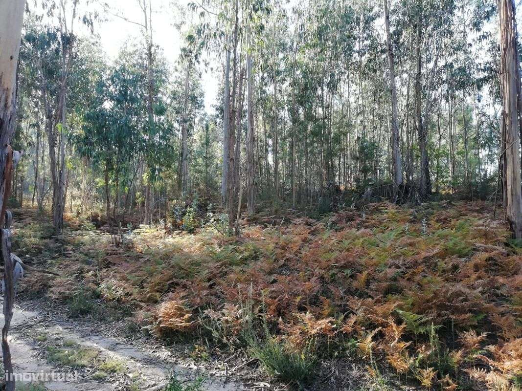 Terreno  para venda - Grande imagem: 4/9