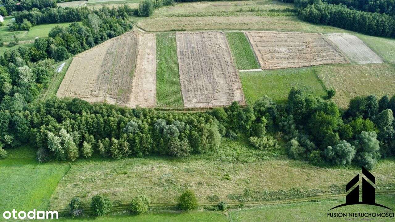 Urokliwa działka z potencjałem | 7842 m² | Łubno,-8