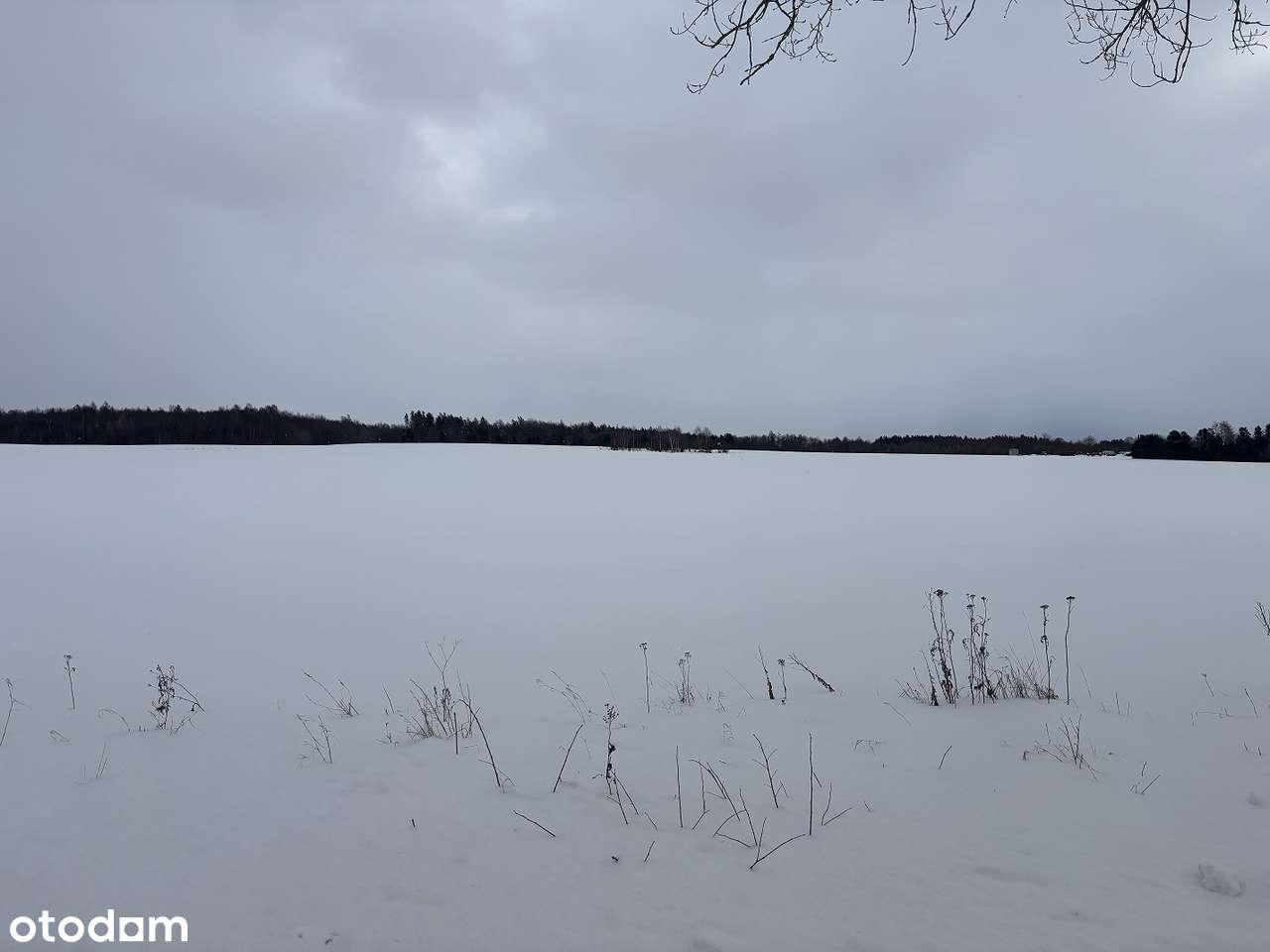 Działka rolna pod inwestycje - jest przeliczeniowy-3