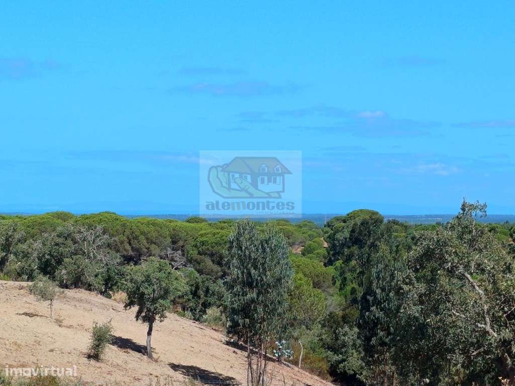 Pronto a construir - PROJECTO APROVADO e vista mar - Grande imagem: 4/14