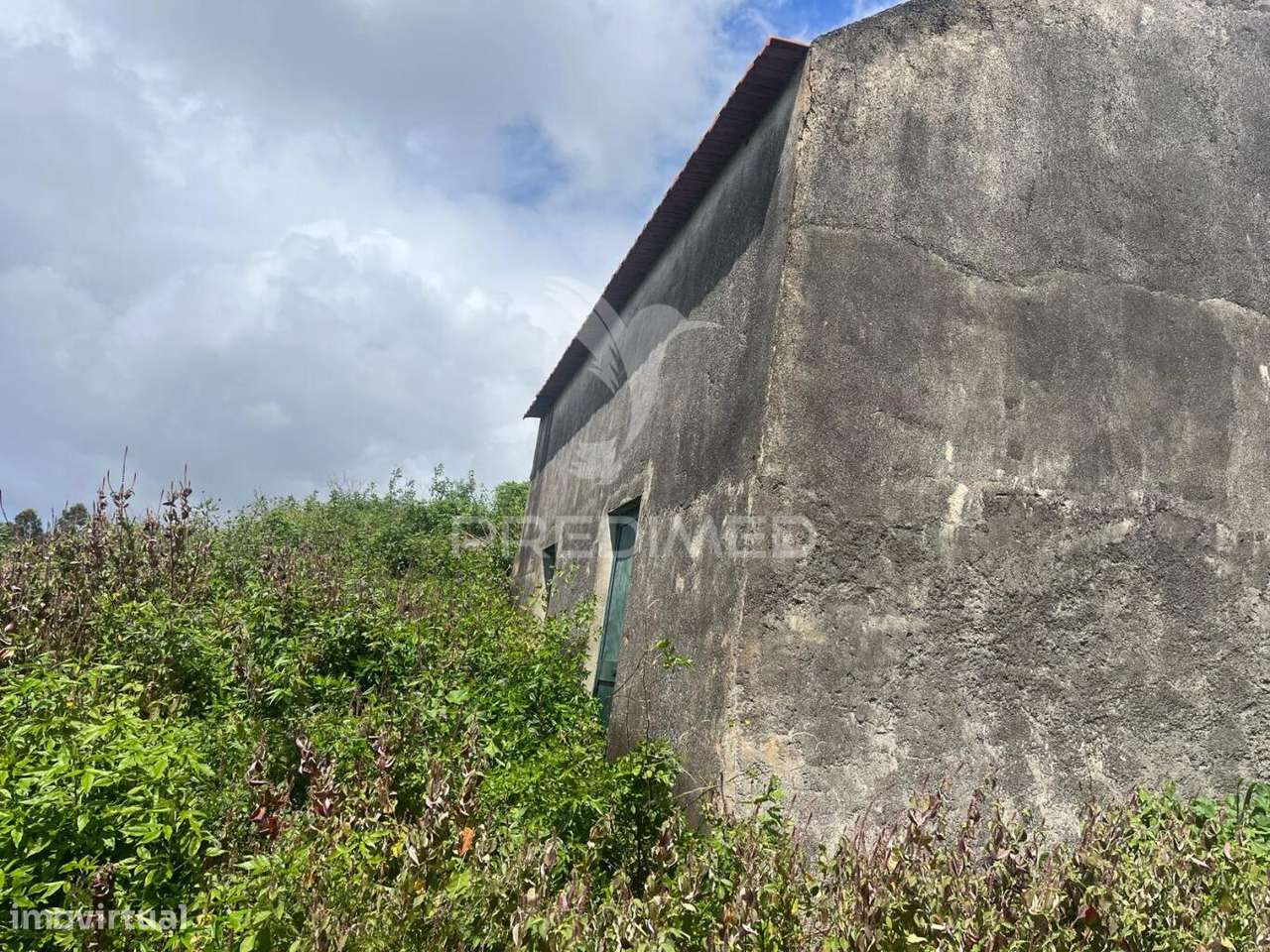 VENDO TERRENO E PALHEIRO NA CALHETA - Grande imagem: 3/6