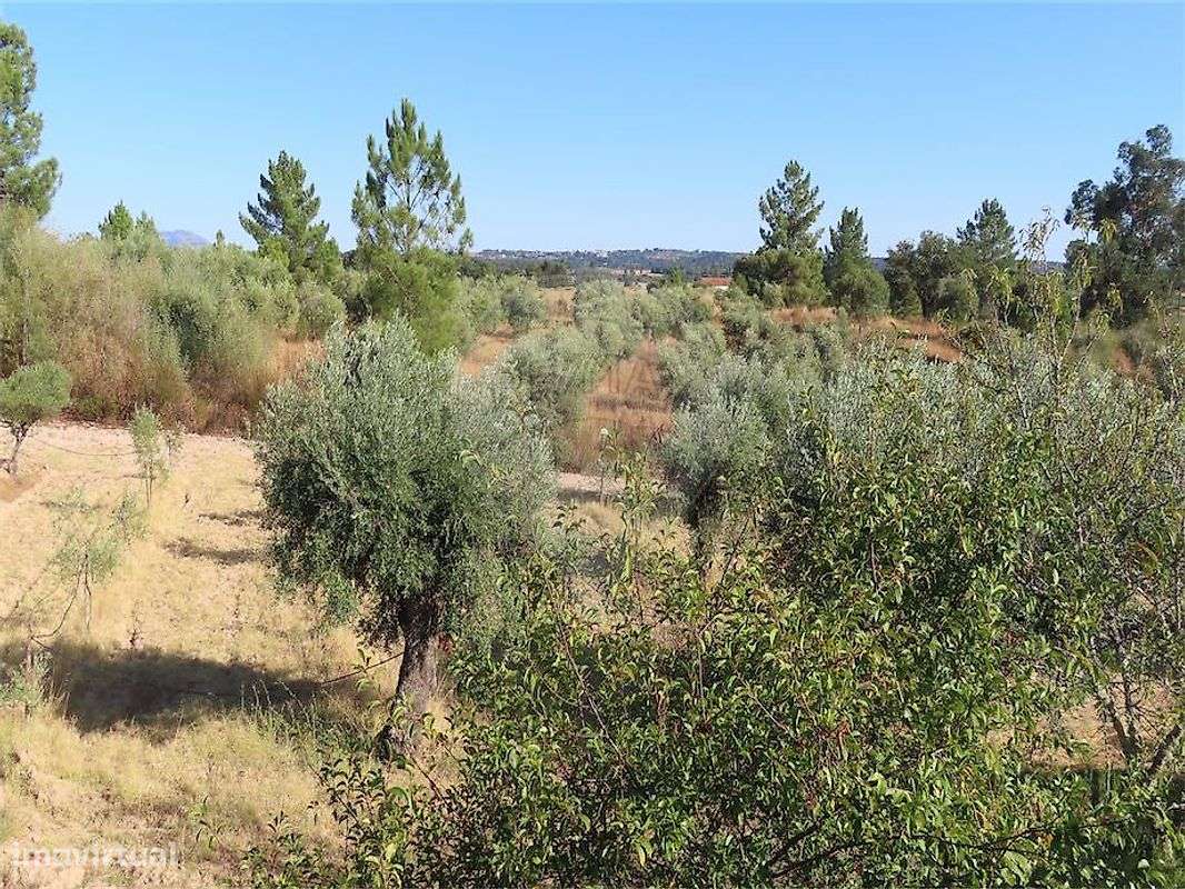 Moradia T3 para venda-40