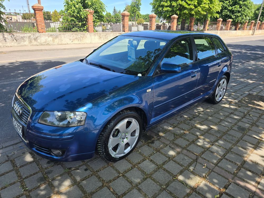 Audi A3 8P 2.0 TDI DPF (DSG) S tronic Attraction 2008