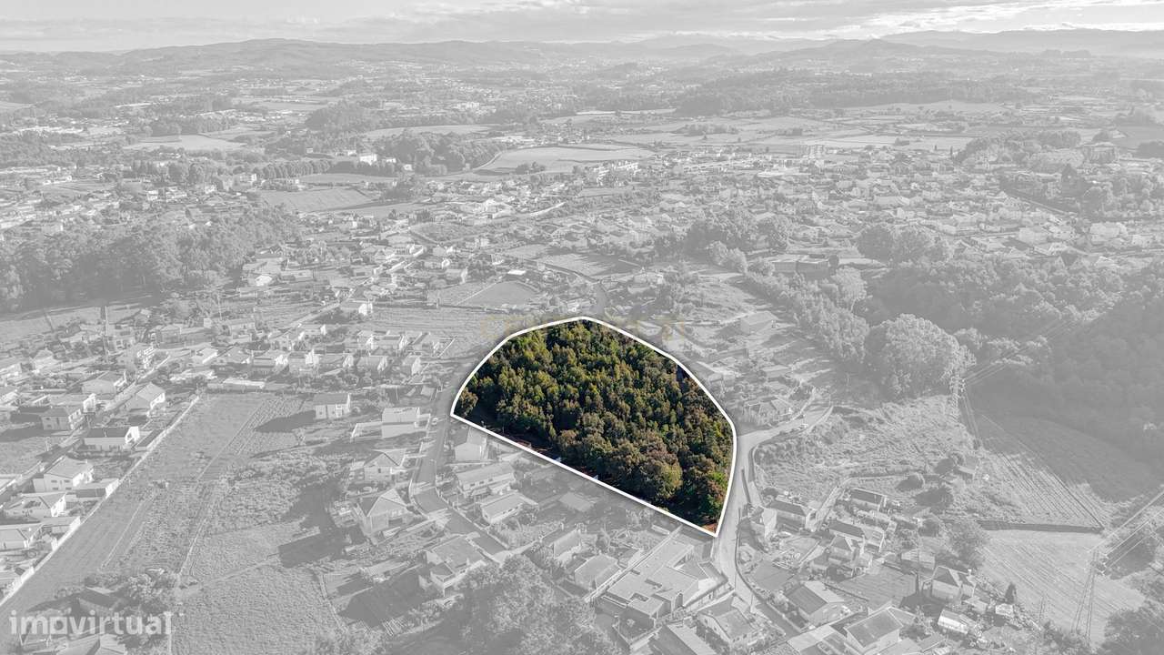 Terreno com 14.000m2  próximo ao Centro de Santo Tirso - Grande imagem: 5/12