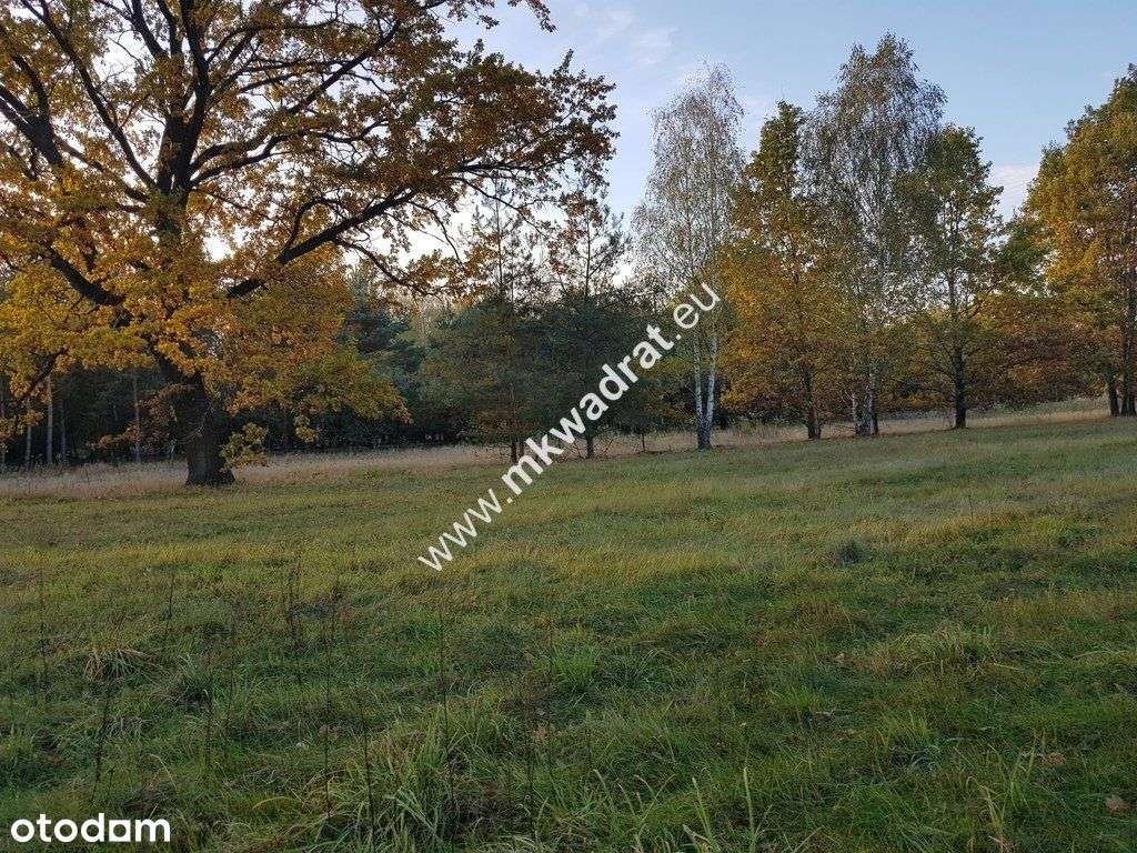 ⭐⭐⭐⭐⭐ Urokliwa Działka Makówka 1600m ⭐⭐⭐⭐⭐ - Pełny obrazek: 4/8