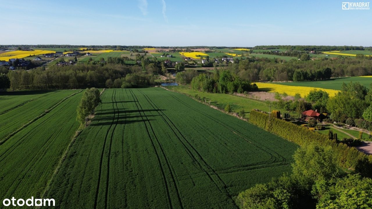 Działka 25248m2 - Panieńszczyzna