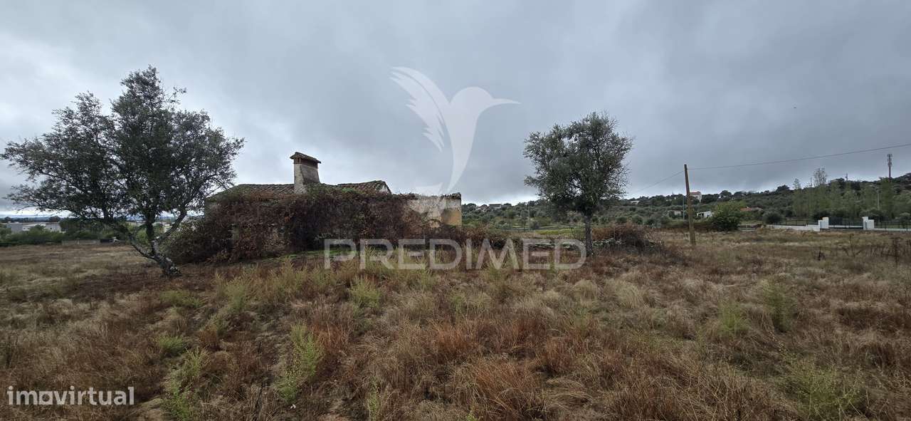 Terreno Rústico em Portalegre - Grande imagem: 5/6