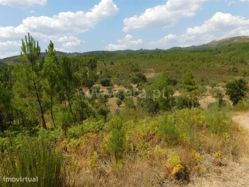 Terreno / Covilhã, Barco - Grande imagem: 3/13