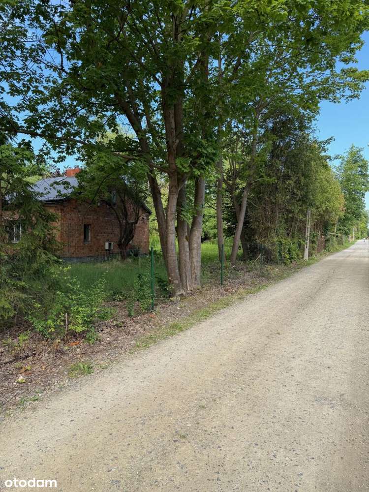 Działka budowlana - Pilawa-3