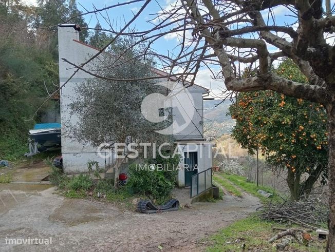 Oportunidade Única: Quinta para Habitação, Turismo ou Agricultura em M-8