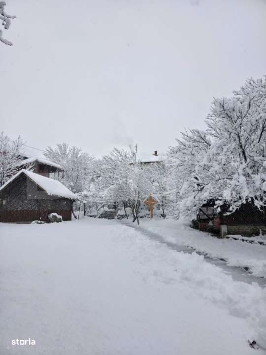 CONAC | 4ha DE TEREN | Cladire la rosu pretabila Agropensiune in Șard - Imagine principală: 3/19
