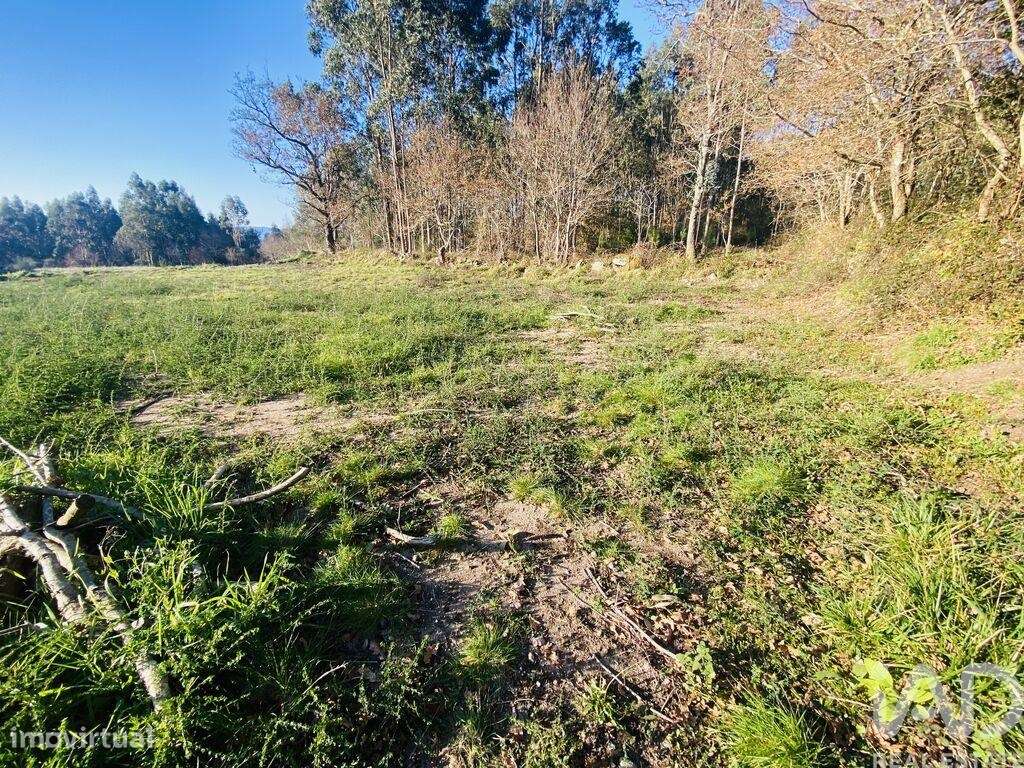 Terreno Agrícola em Sopo de 260,00 m2 - Grande imagem: 4/17