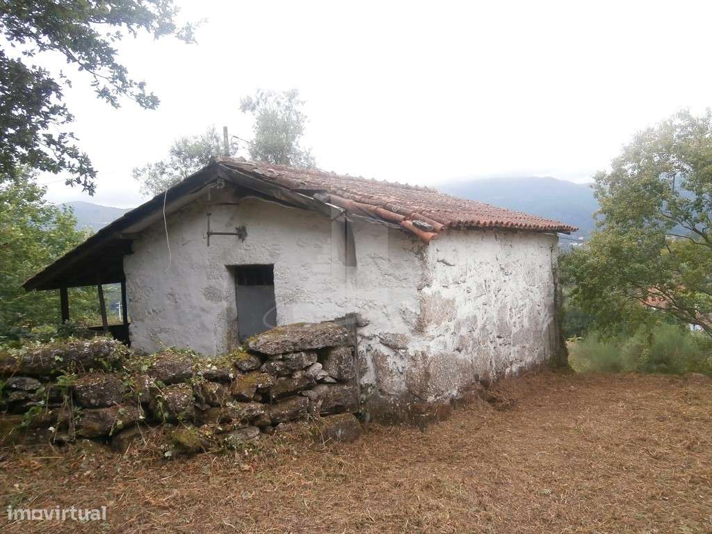 Quintinha com 4.647 m² e Duas Casas para Restaurar em Friande - Grande imagem: 2/20