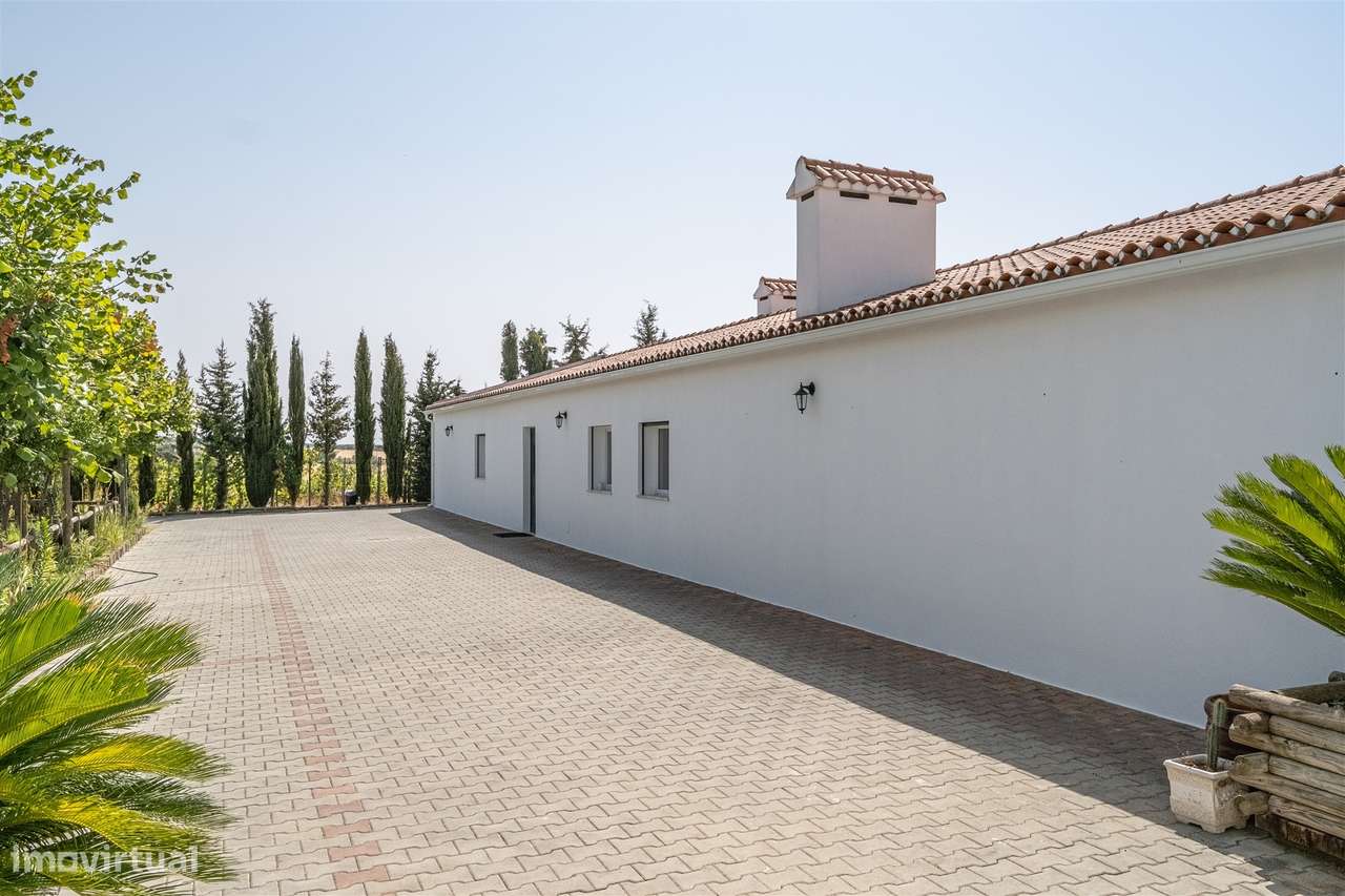 Quinta Biológica - Monte de Palma em Sao Manços com negócio.-36