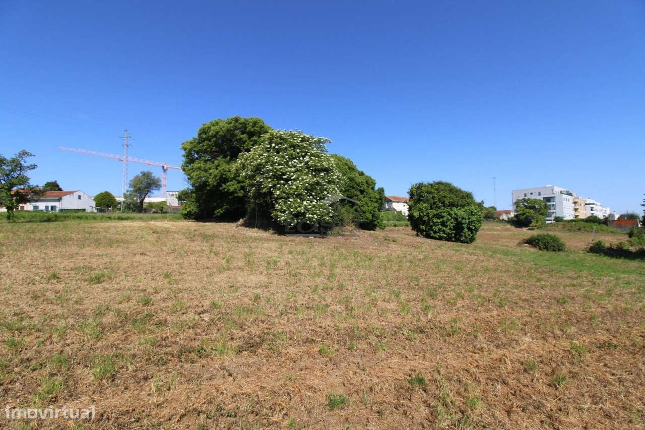 Terreno com 7.813 m² no Centro de Oliveira do Douro | Vila Nova de ...-19