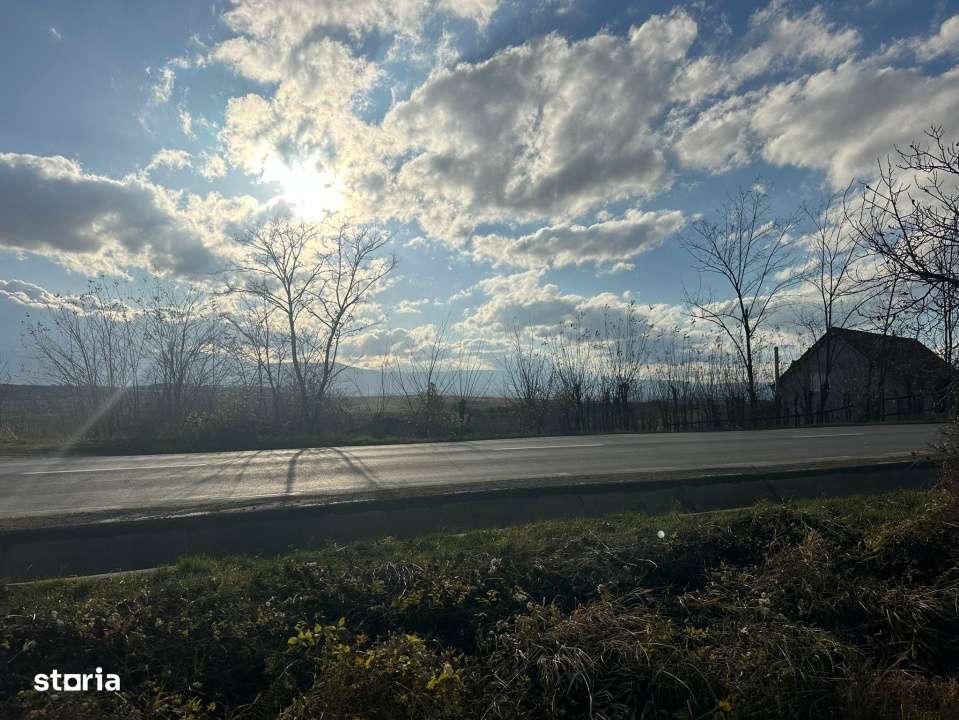 Teren Intravilan  2000mp, cu utilitati (P+E /M), spre vanzare in Daia - Imagine principală: 5/7