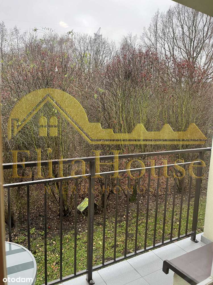 WYNAJEM | Mieszkanie 2 pokoje z balkonem i widokiem na las - Pełny obrazek: 4/6