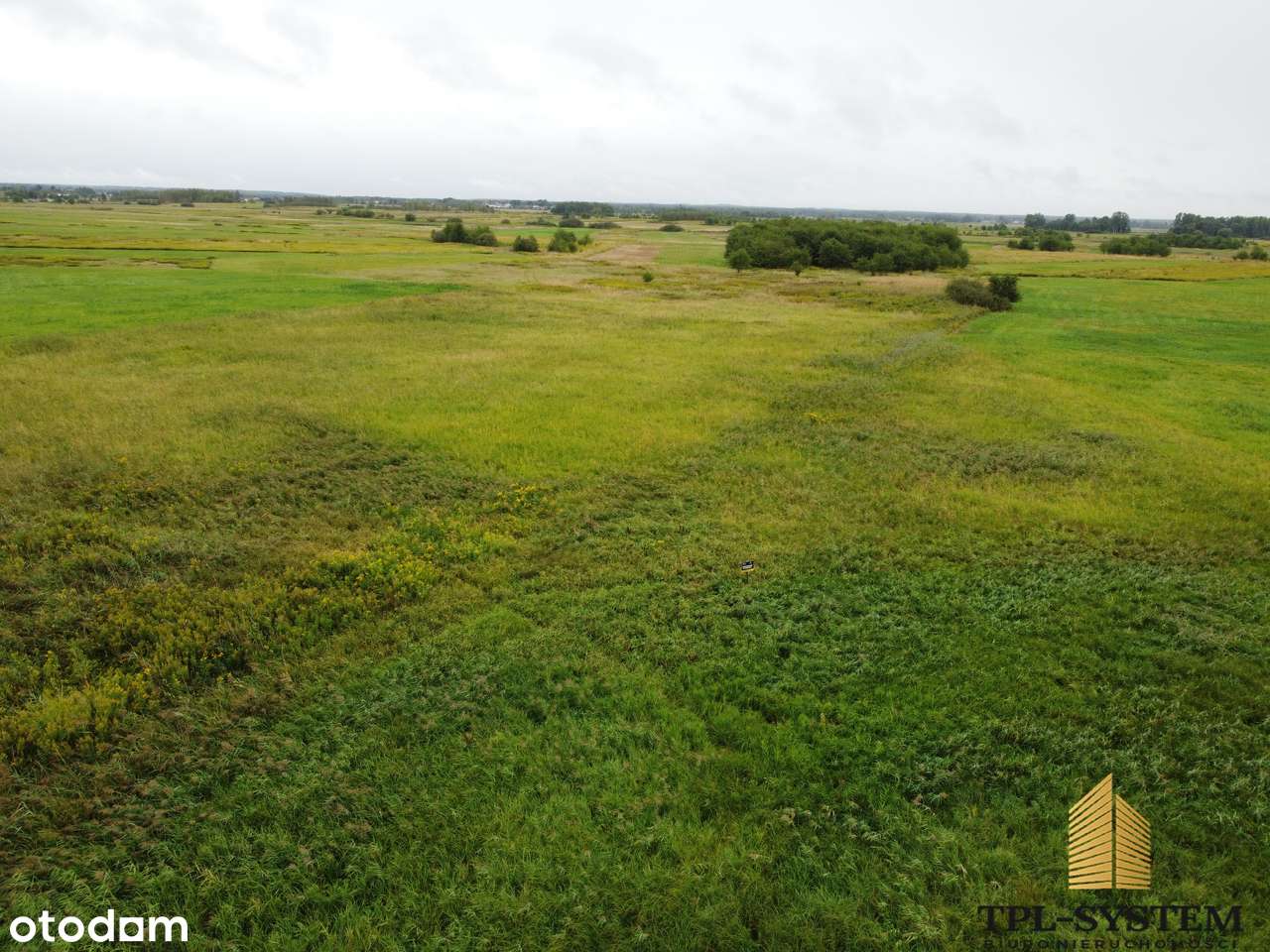 WYDRZA - dwie działki rolne - Pełny obrazek: 5/5