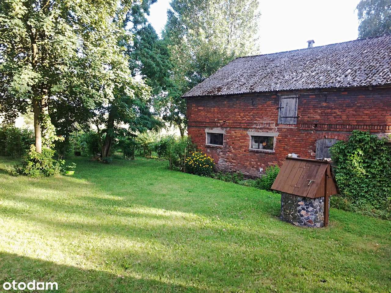 Natura, cisza, kameralność, śpiew ptaków-12