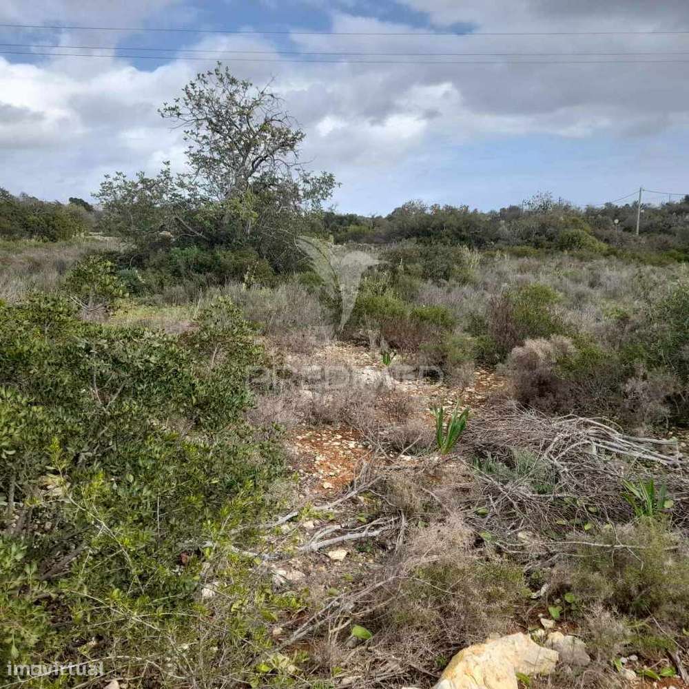 Terreno Rustico  entre Estói e Moncarapacho - Grande imagem: 4/11