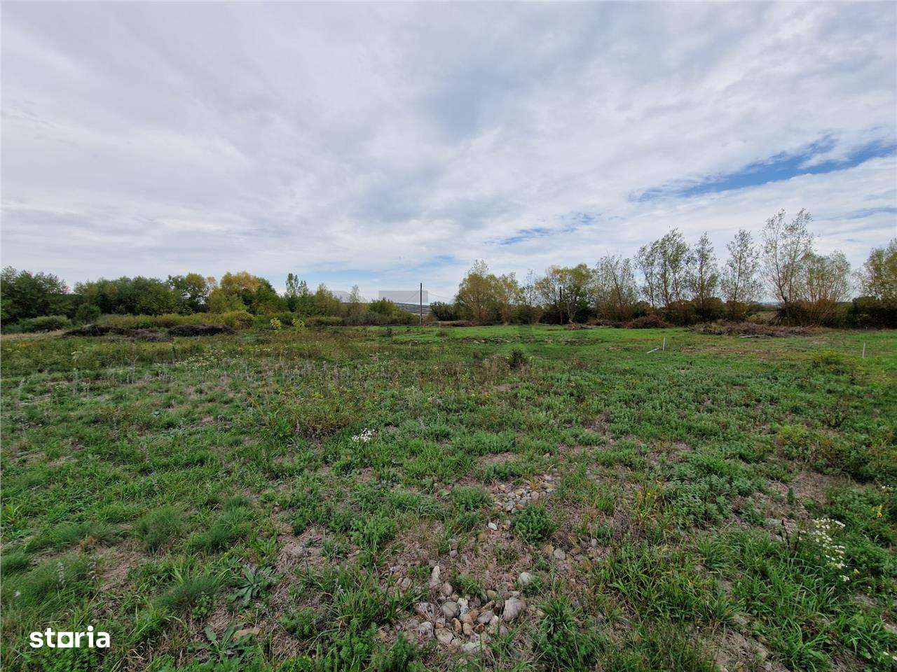 RECO teren intravilan Ineu - Imagine principală: 4/7